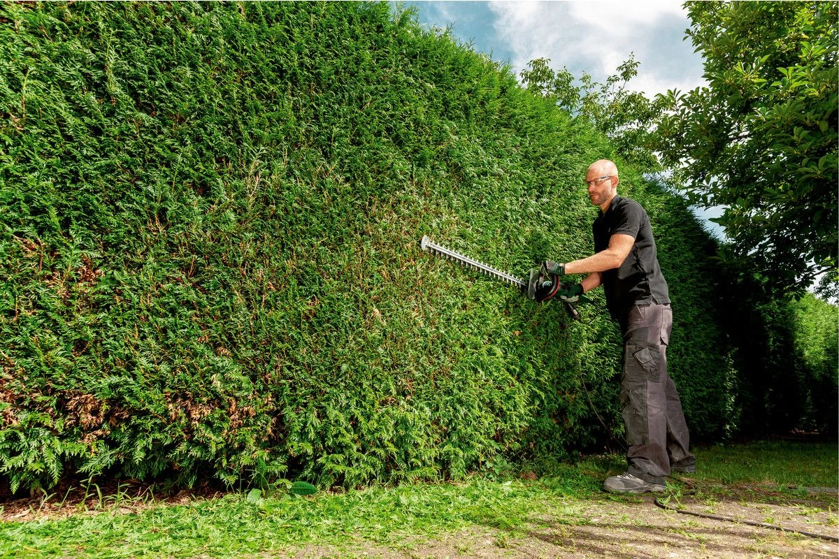 Metabo HS8745 Heggenschaar - 560 Watt - 450mm - 608745000 2 Metabo HS8745 Heggenschaar - 560 Watt - 450mm - 608745000 - Afbeelding 2